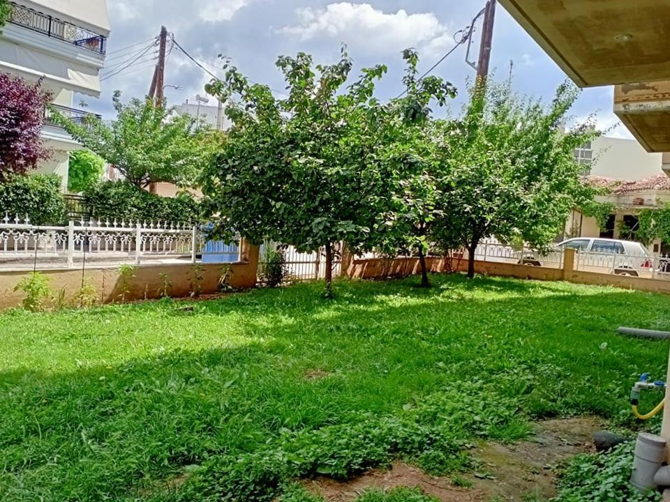 אלכסנדרופולי Lux Studio Apartment מראה חיצוני תמונה